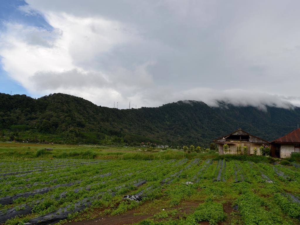 Dajan Buyan Homestay Bedugul  Exterior photo